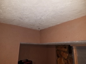Ceiling with mold